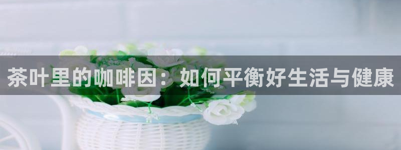 鸿运平台代理鸿运