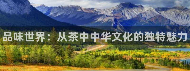 鸿运购彩专业平台