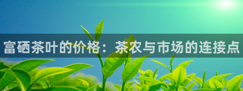 鸿运当头平台