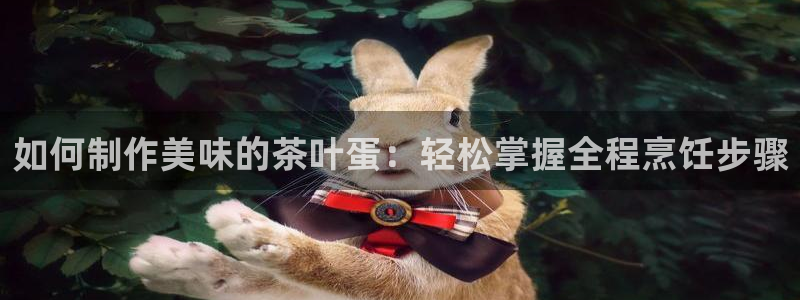 鸿运平台投资诈骗事件