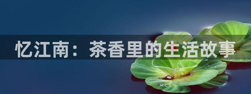 香港鸿运平台