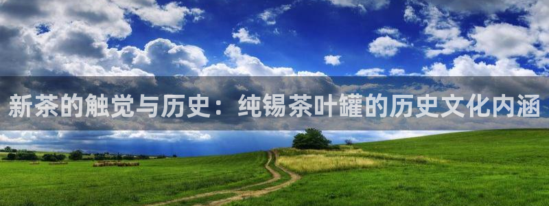 鸿运华宁技术平台