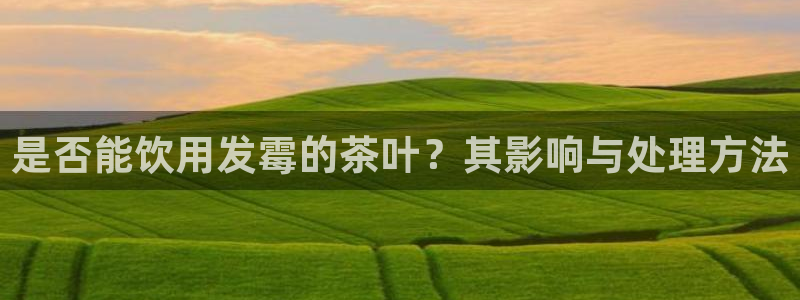 鸿运管理平台
