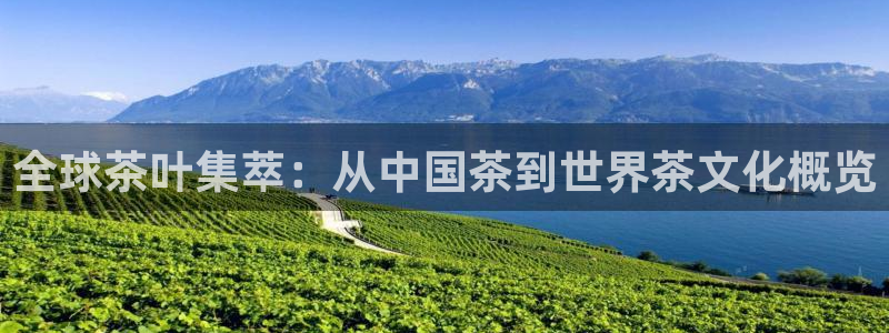 会员鸿运国际平台
