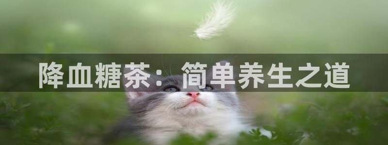 鸿运平台代理