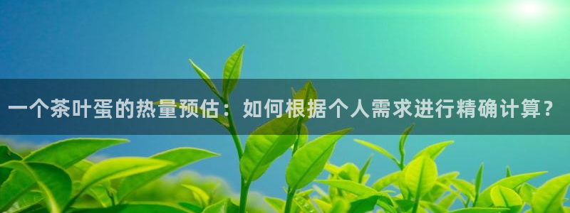 鸿运和拍拍卖平台
