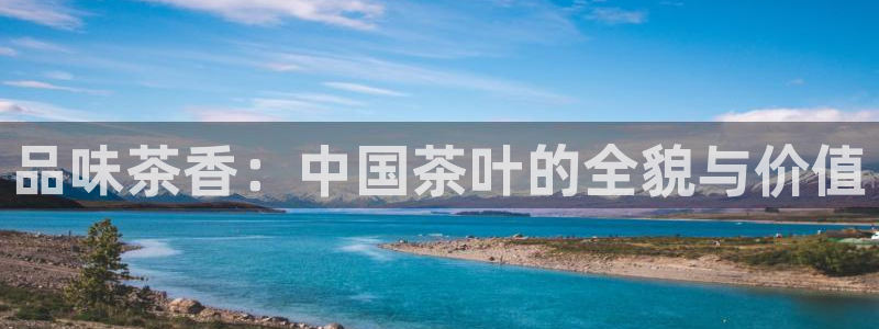 鸿运福星缴费平台