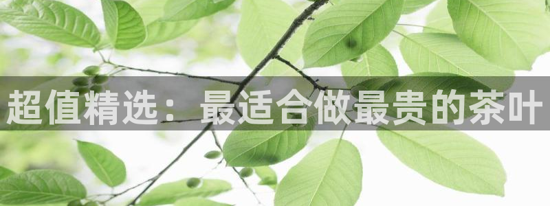 鸿运网平台用户