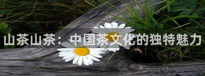 鸿运购是什么平台
