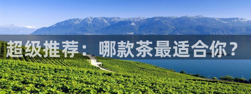 鸿运当头翡翠平台