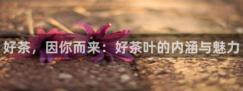 谢鸿运平台