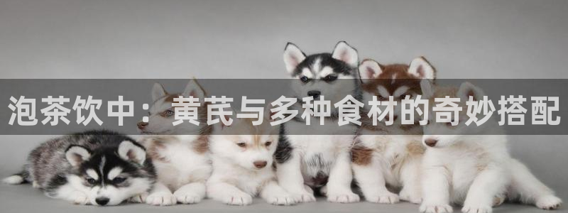 鸿运满堂平台