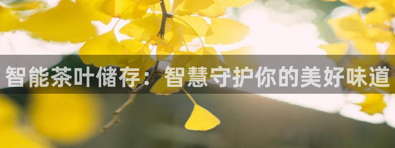 鸿运平台代理代