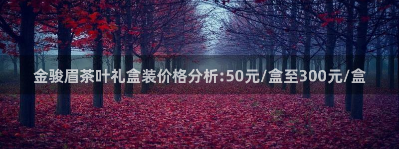 鸿运棋牌平台下载