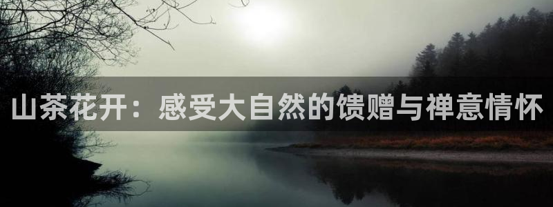 鸿运策略股票平台骗局