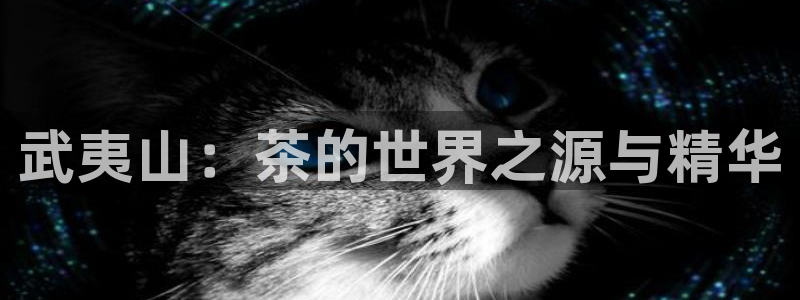 鸿运采购平台的