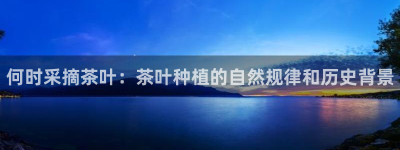 鸿运首选投资平台