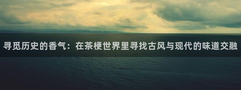 东方阿保鸿运购物平台