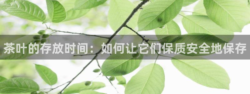 鸿运专业购彩平台网止