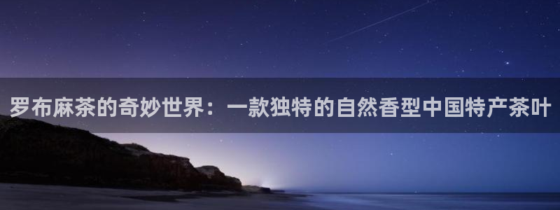 中国鸿运是什么平台