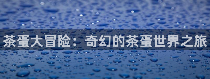 鸿运娱乐代理平台