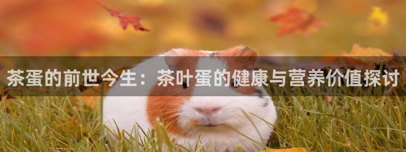 鸿运菜瞟平台