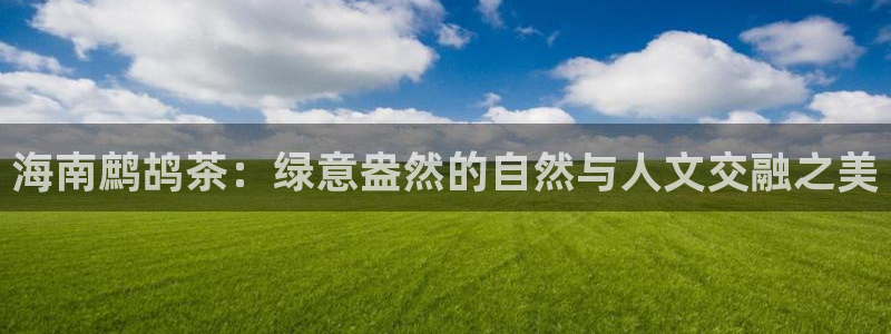 鸿运布艺团购平台
