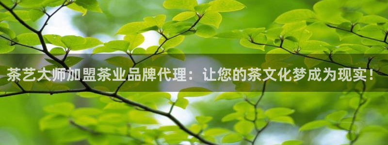 鸿运当头平台好吗