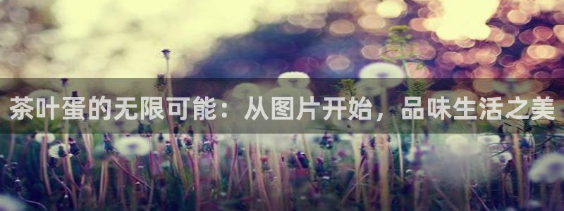 鸿运平台充值
