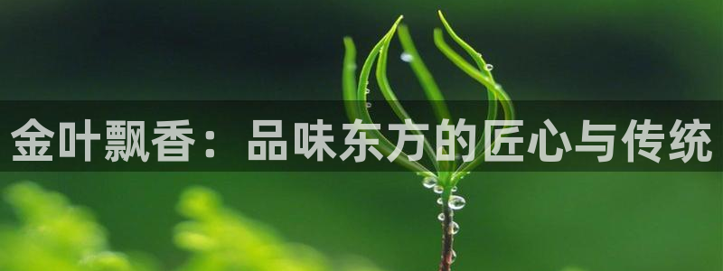 铜陵鸿运拍卖平台
