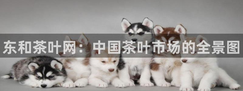 鸿运平台在线客服电话