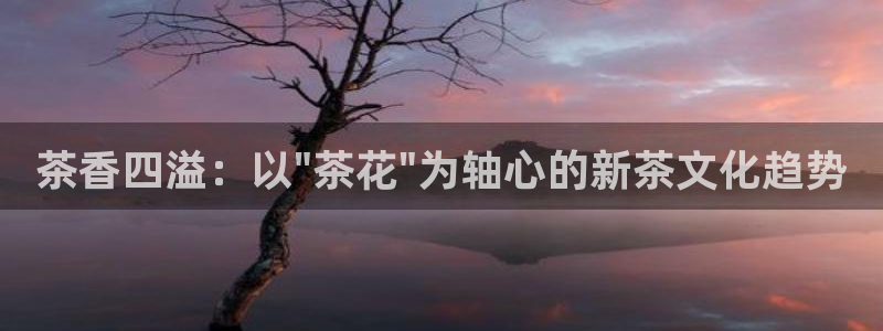 琥珀鸿运彩票平台靠谱吗