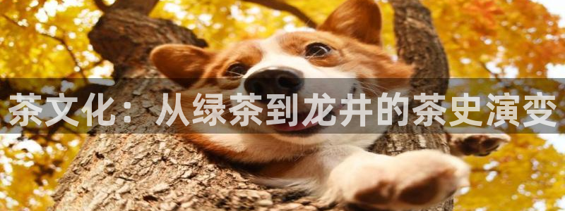 鸿运外汇平台