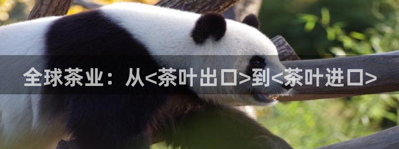 鸿运直接平台