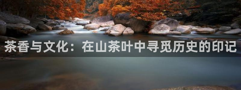 琥珀鸿运平台怎样赚钱的