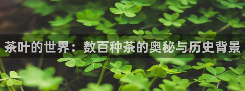 鸿运服务平台官网