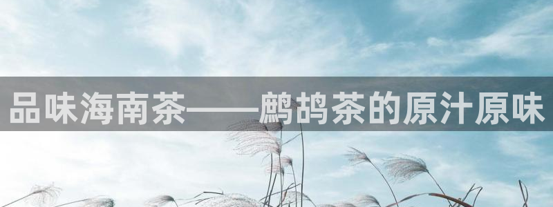 鸿运乐彩平台