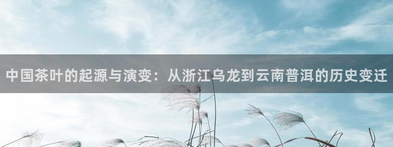 鸿运平台优惠