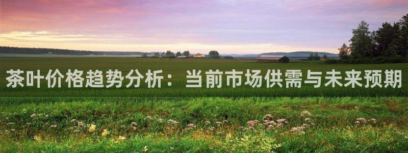 鸿运平台是骗子平台吗