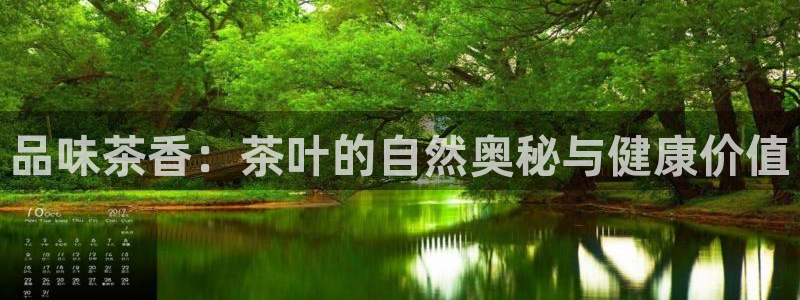鸿运策略股票平台