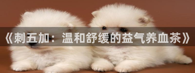 鸿运赌城开户平台