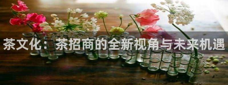 琥珀鸿运是啥平台