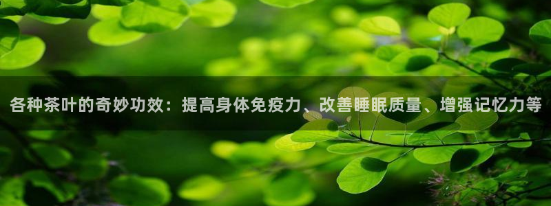 鸿运外汇平台