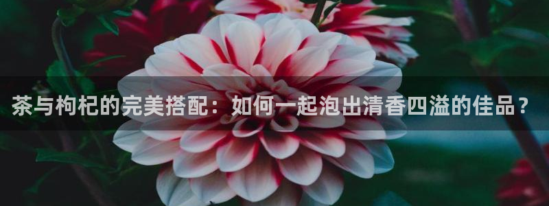鸿运彩票平台怎样下载