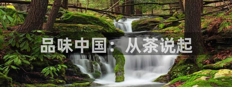 鸿运平台app