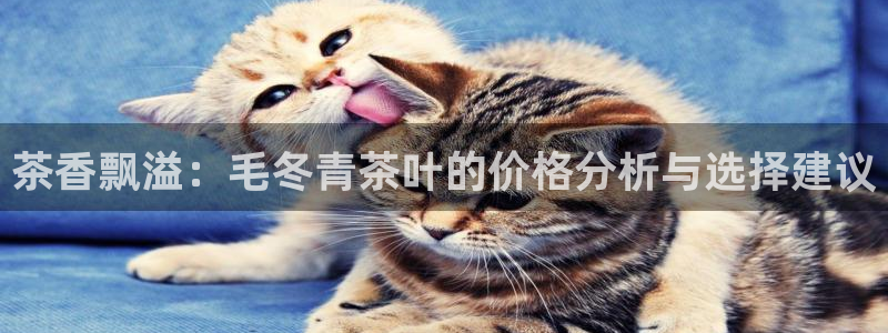 大发鸿运彩票平台