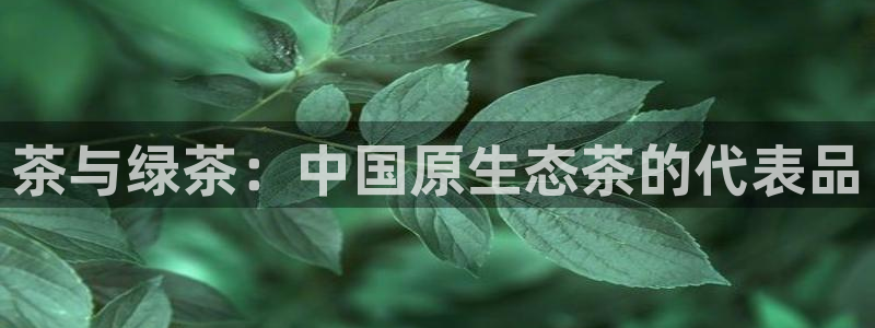 鸿运推广平台代理
