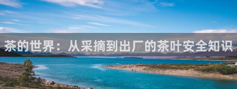 下载鸿运直播平台