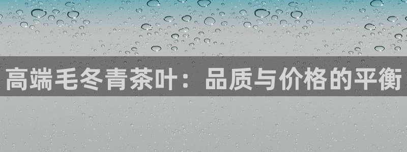 鸿运国际平台