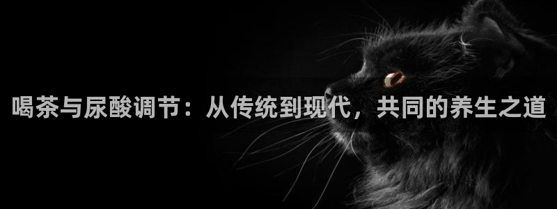 香港鸿运微投资平台